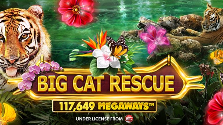 Big Cat Rescue Megaways by Evolution’s Red Tiger