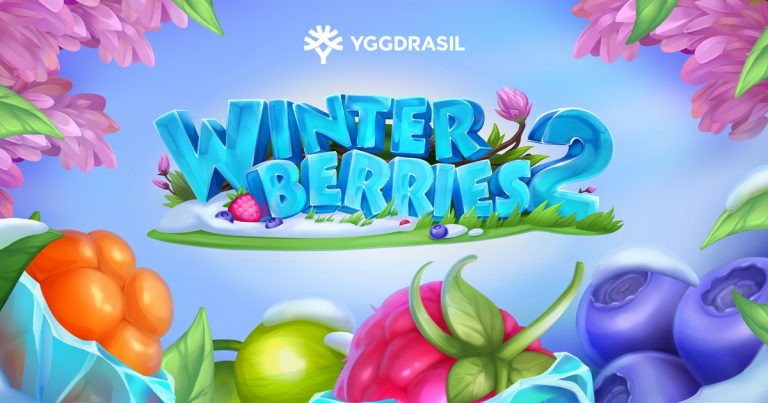 Winterberries 2 by Yggdrasil